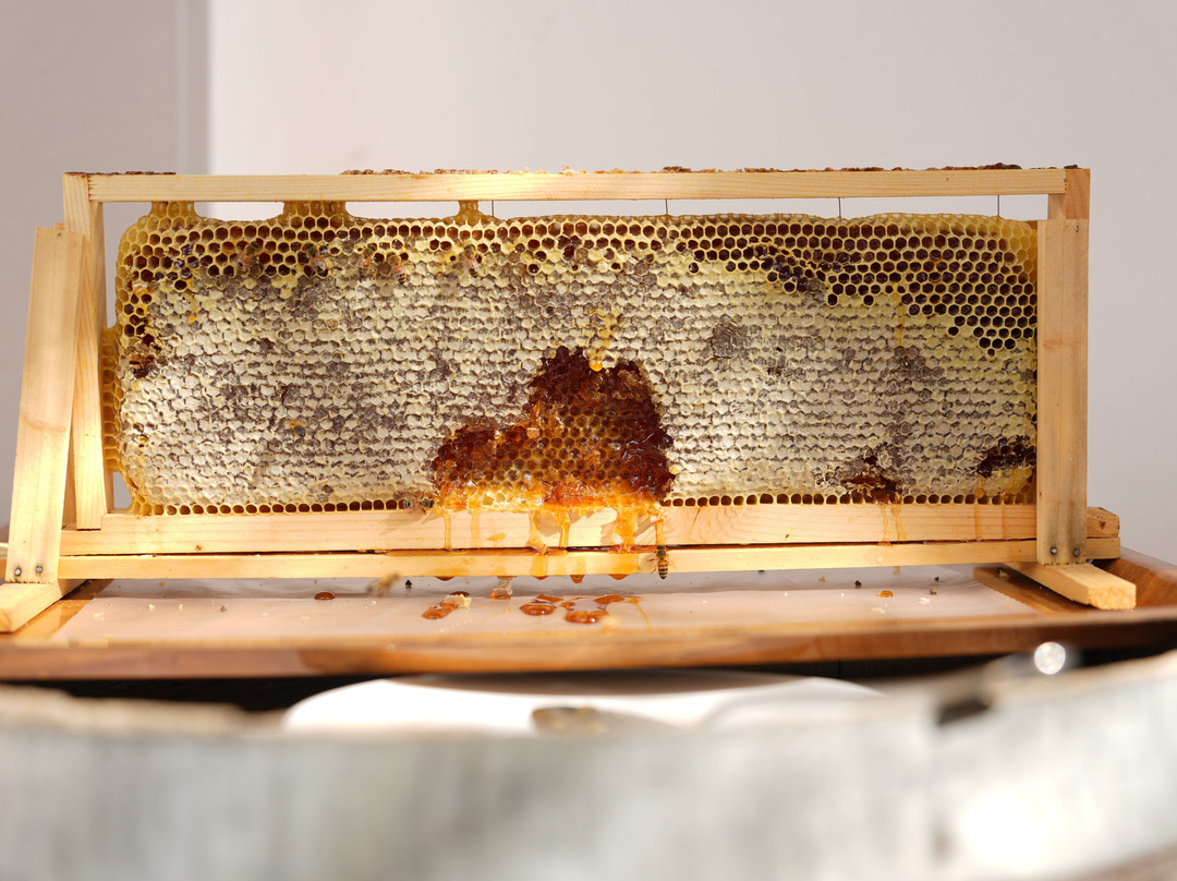 泰努塔德巴克酒店主图