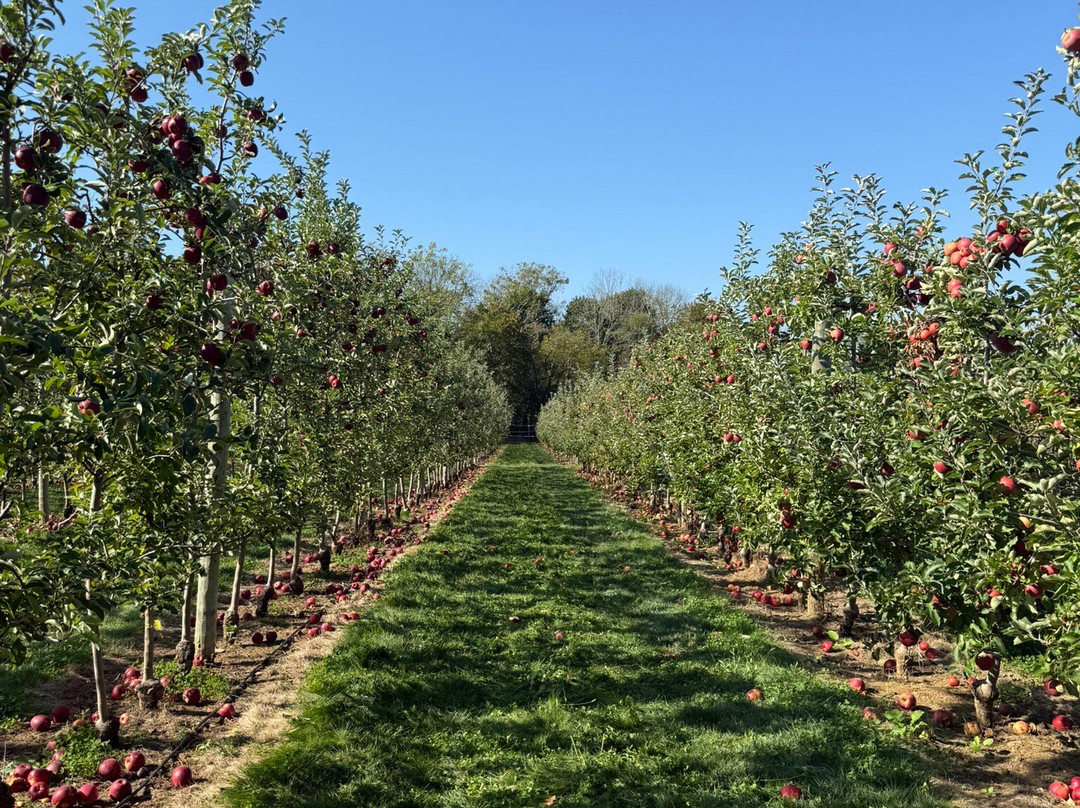 Ort Farms-Long Valley必去景点