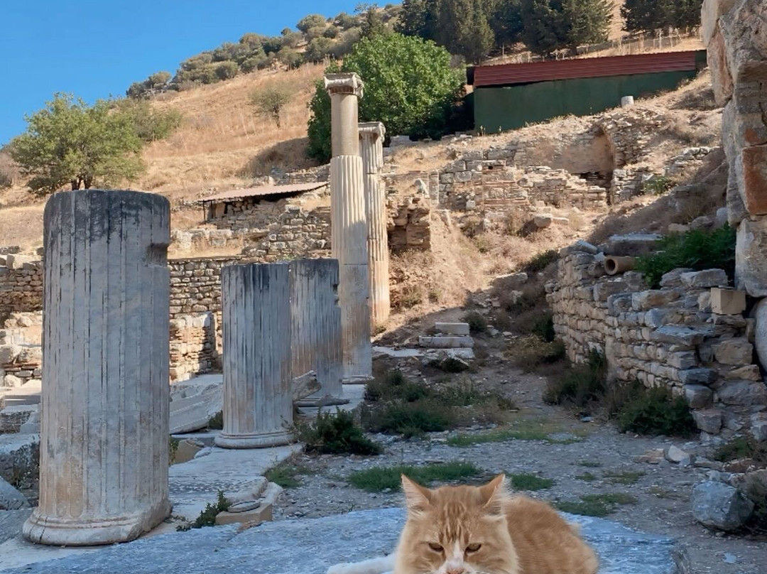 Turkey Adventure - Best Turkey Tour Packages-库萨达斯必去景点