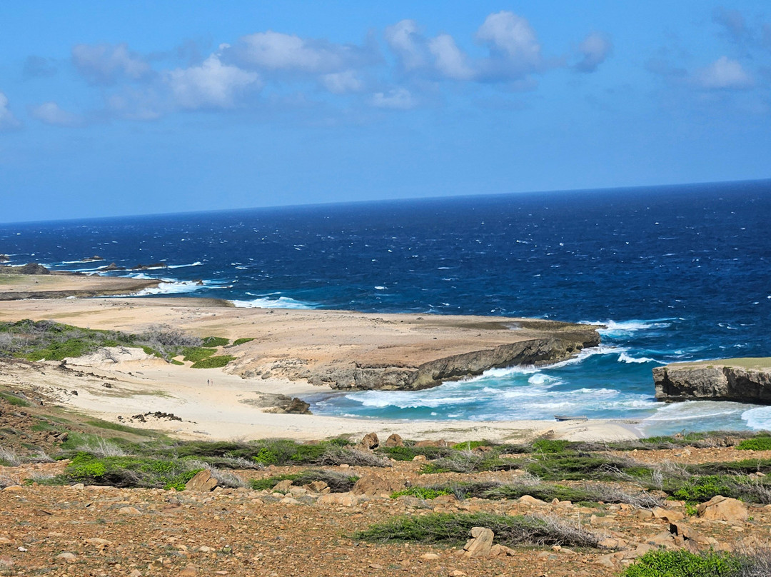 Rancho Loco-Santa Cruz必去景点