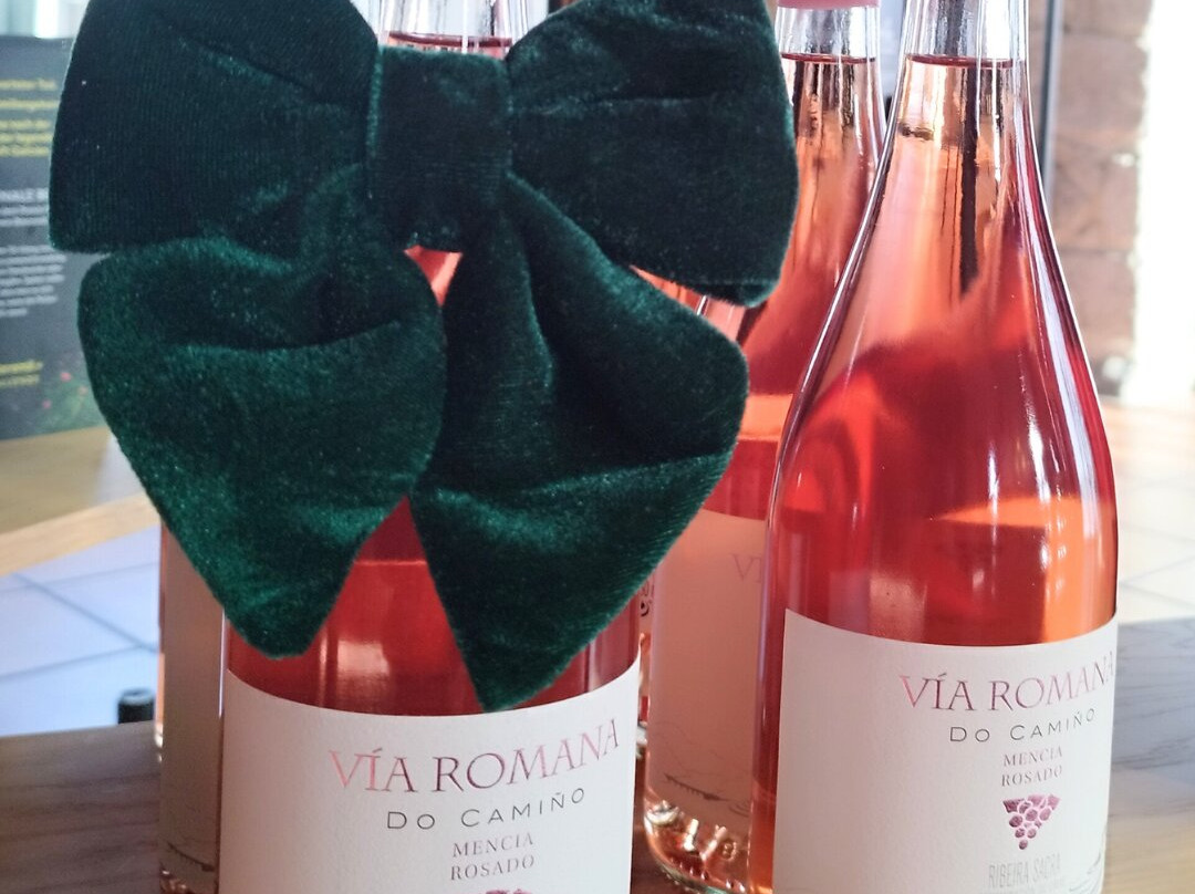 Via Romana Adegas e Vinedos-Chantada必去景点