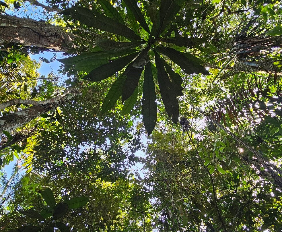 Cuyabeno Dolphin Lodge-Cuyabeno Wildlife Reserve必去景点