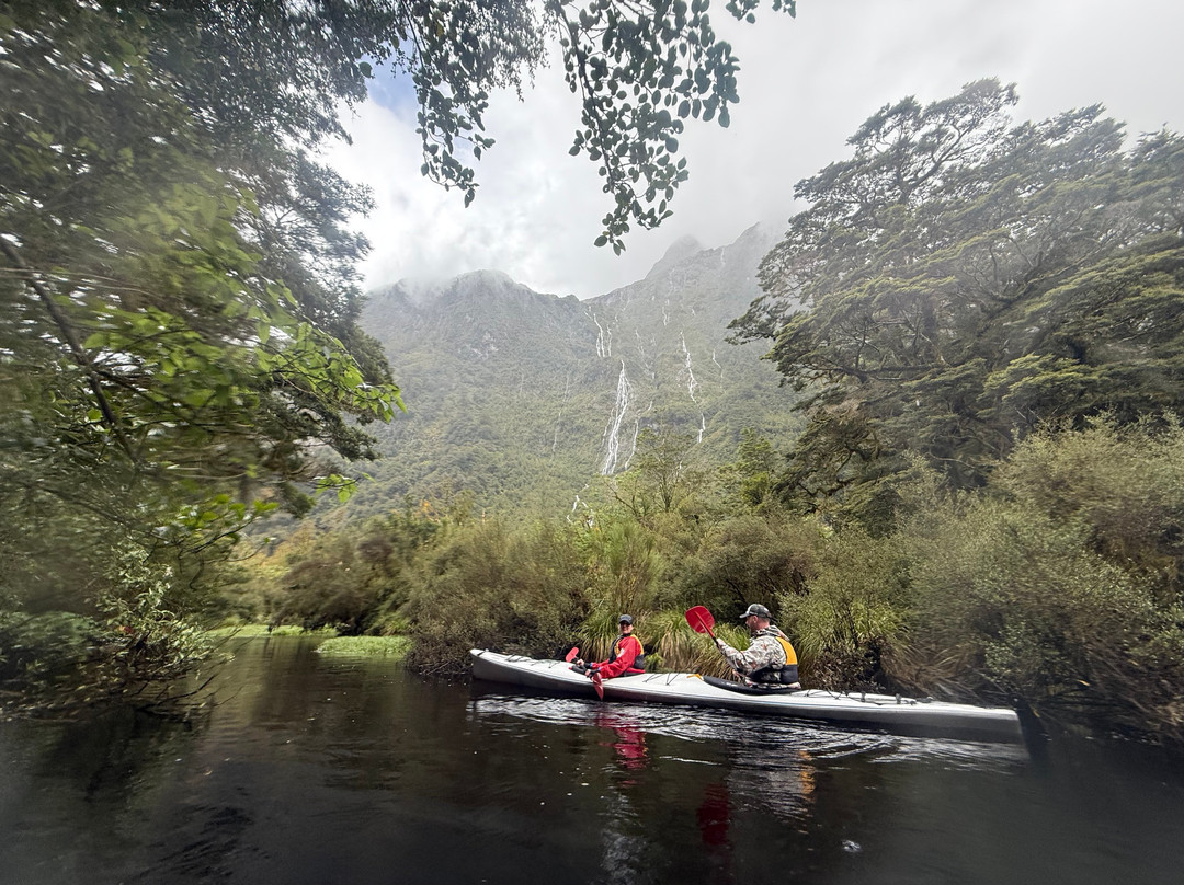 Doubtful Sound Kayak-马纳普里必去景点