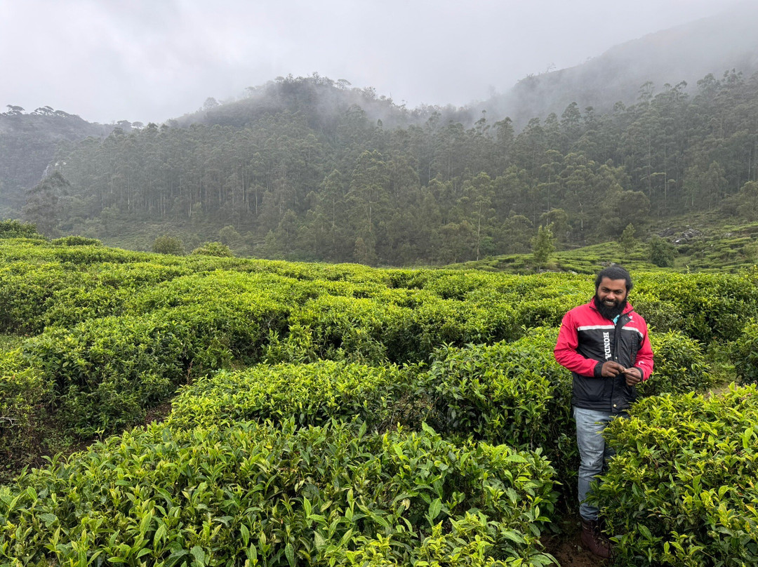 Andrews Eco Tours and Taxi-奴娃拉伊利雅必去景点