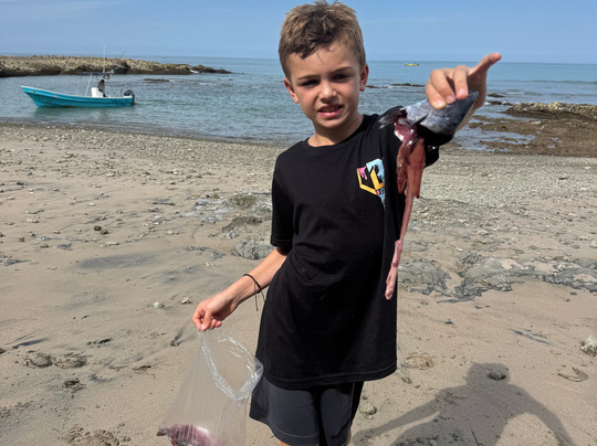 Tico Brothers Sports Fishing-圣特雷莎必去景点