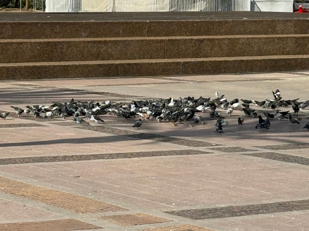 Leonardo Plaza Netanya Hotel主图