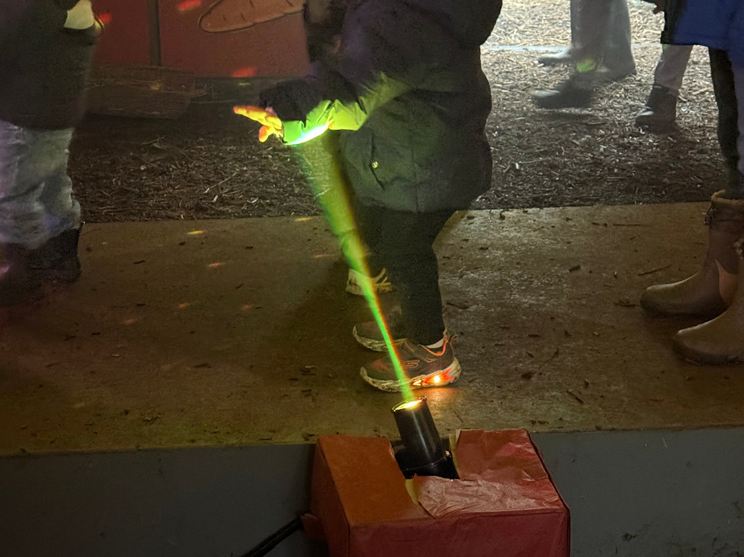 Bluebell Dairy Farm-德比必去景点