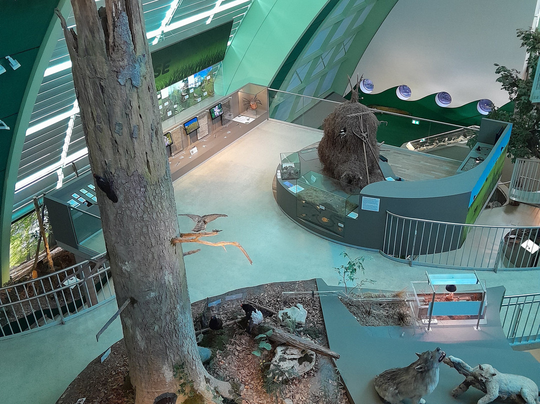 Museum Niederoesterreich-圣珀尔滕必去景点