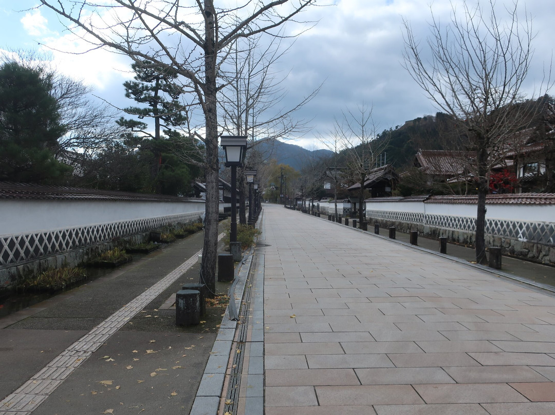 Tonomachi Street-津和野町必去景点