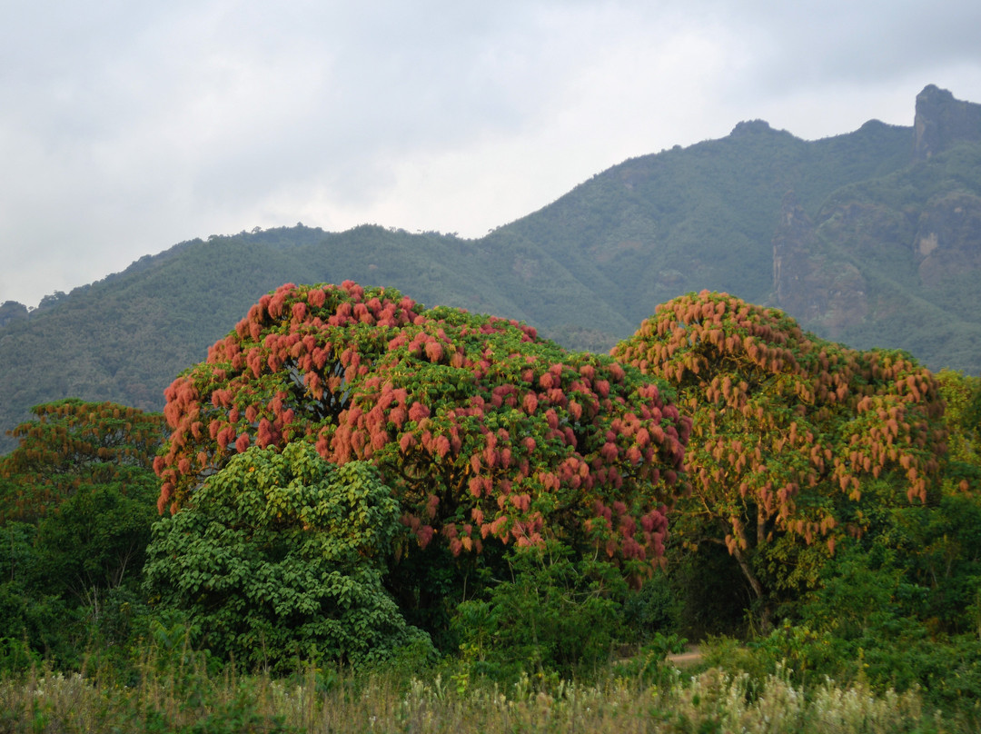 Bale Mountains Tours-Bale Mountains National Park必去景点