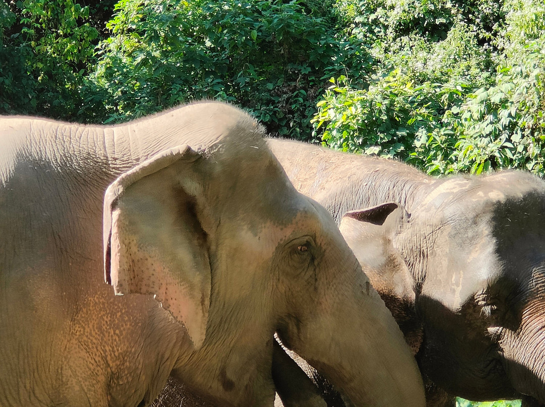 Chang Chill-Mae Win必去景点