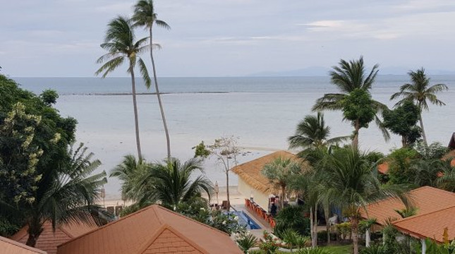 棕榈可可曼特拉酒店主图