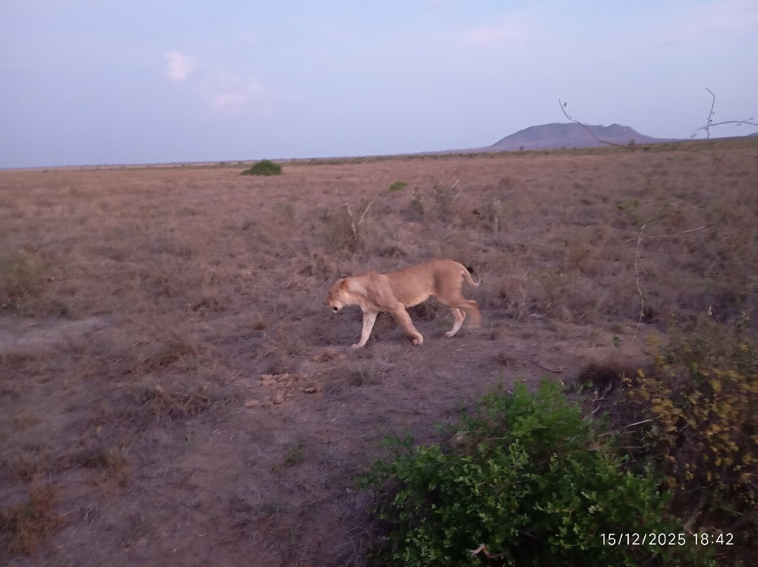 Tsavo East National Park-查佛必去景点