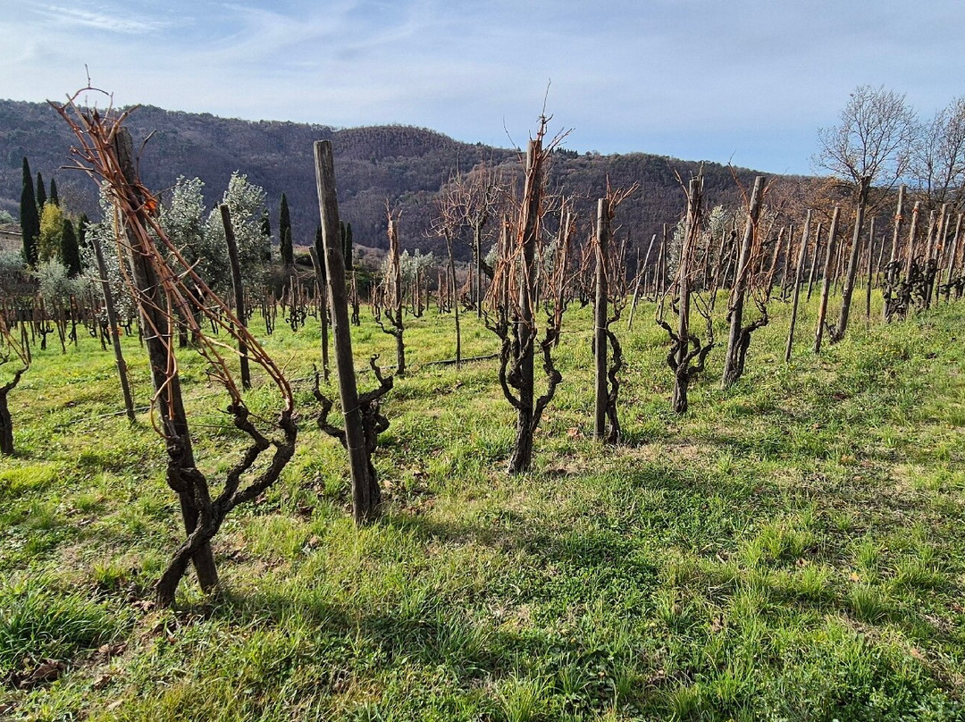 Lamole di Lamole-格雷韦伊恩基亚恩蒂必去景点