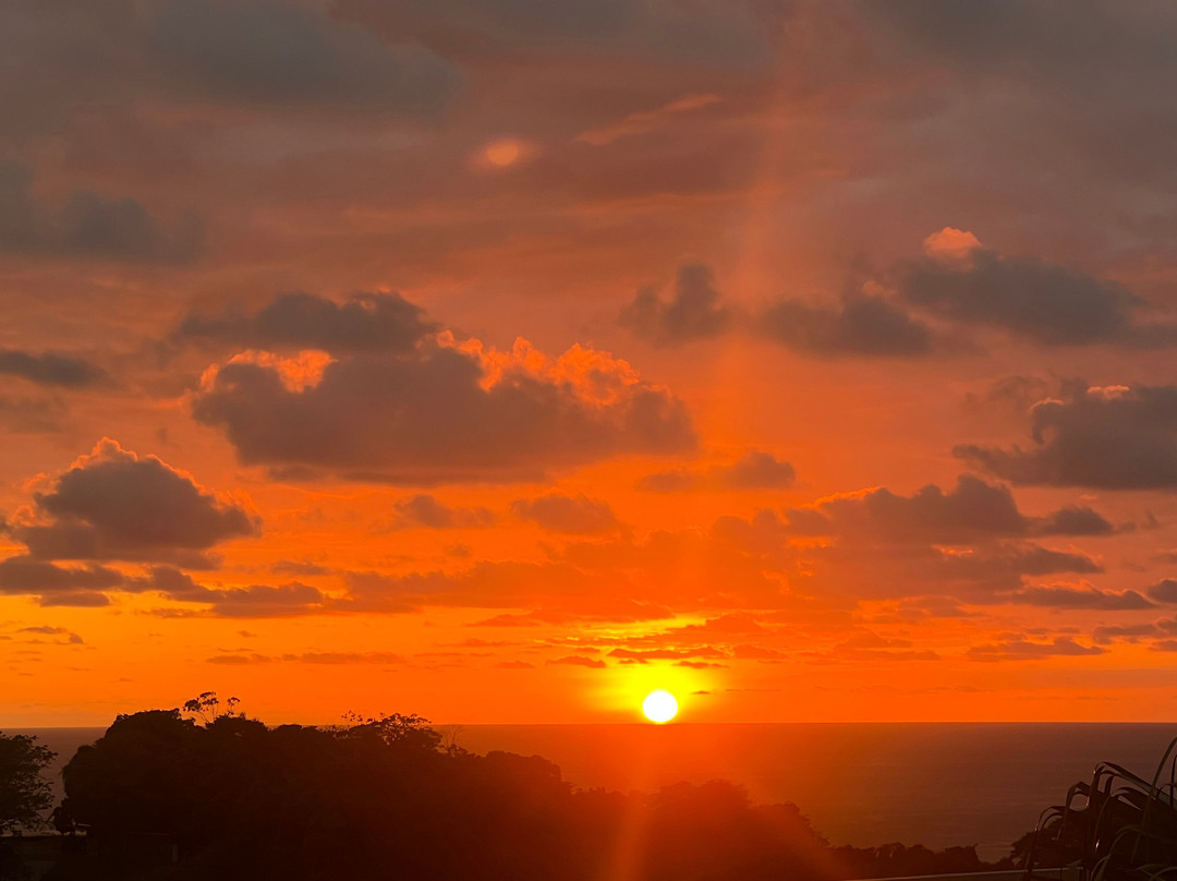 Gaia Hotel & Reserve主图