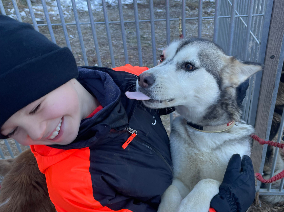 Kuma & Co-莱德萨阿尔卑斯必去景点