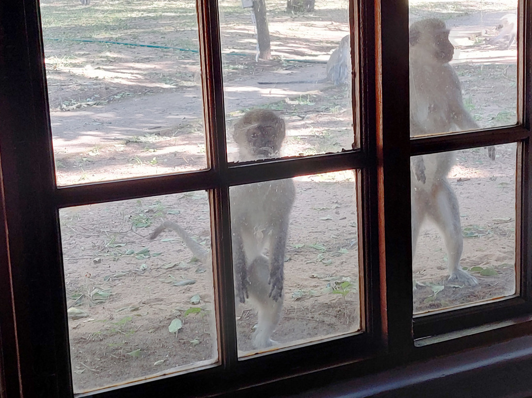 Gooderson DumaZulu Lodge & Traditional Village主图