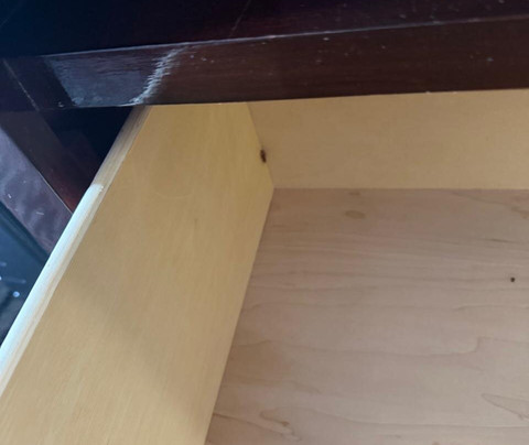 La Quinta Inn & Suites by Wyndham Houston - Magnolia主图