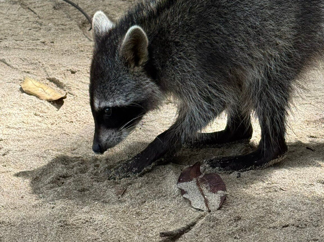 Manuel Tour Guide-卡维塔必去景点