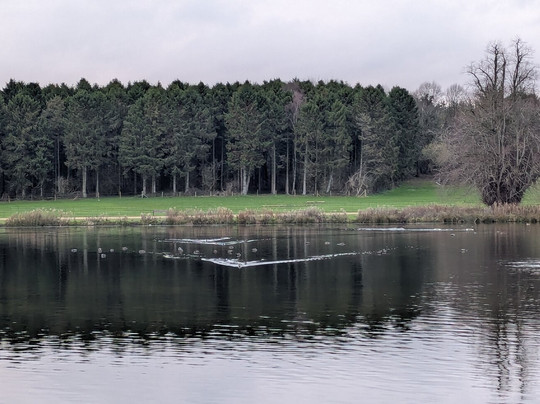 Hardwick Hall Hotel主图