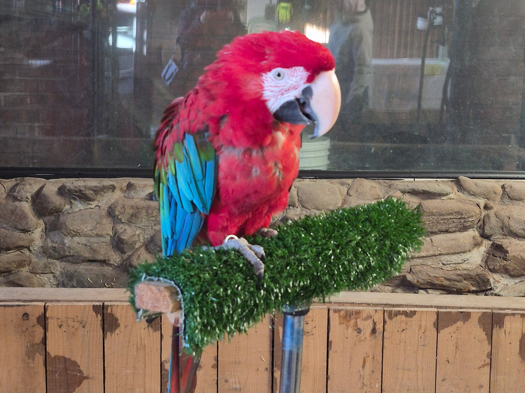 CineZoo-Sainte-Anne-de-la-Rochelle必去景点