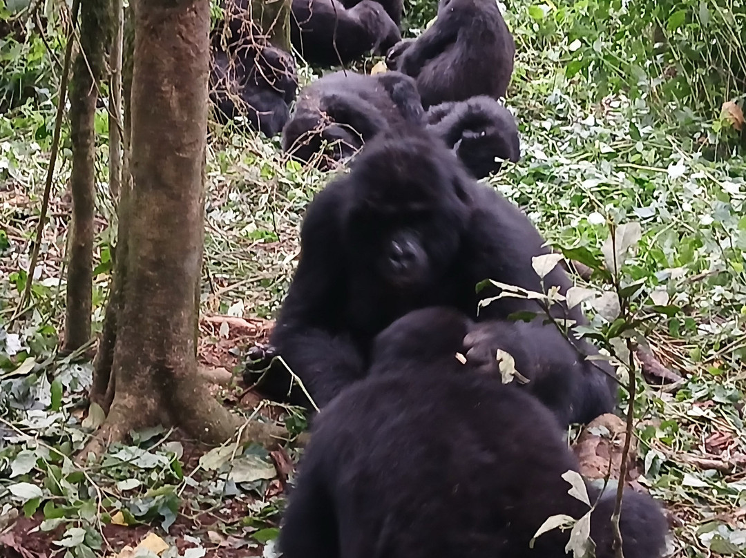 Grassrootz Adventures Uganda-坎帕拉必去景点