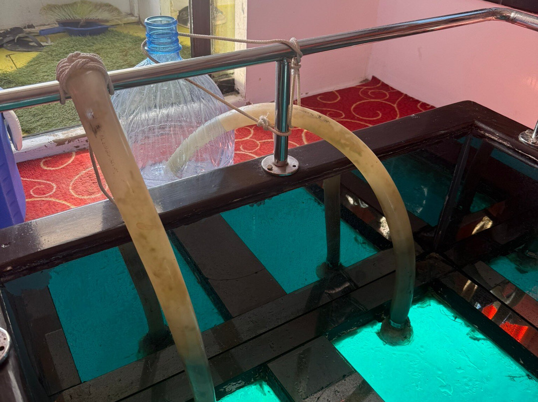 La Perla Dive Club-Sahl Hasheesh必去景点