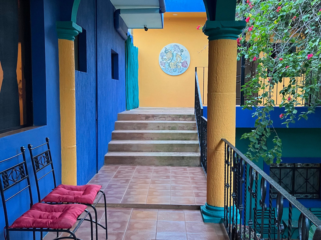 Coyote Mistico Bed & Breakfast主图