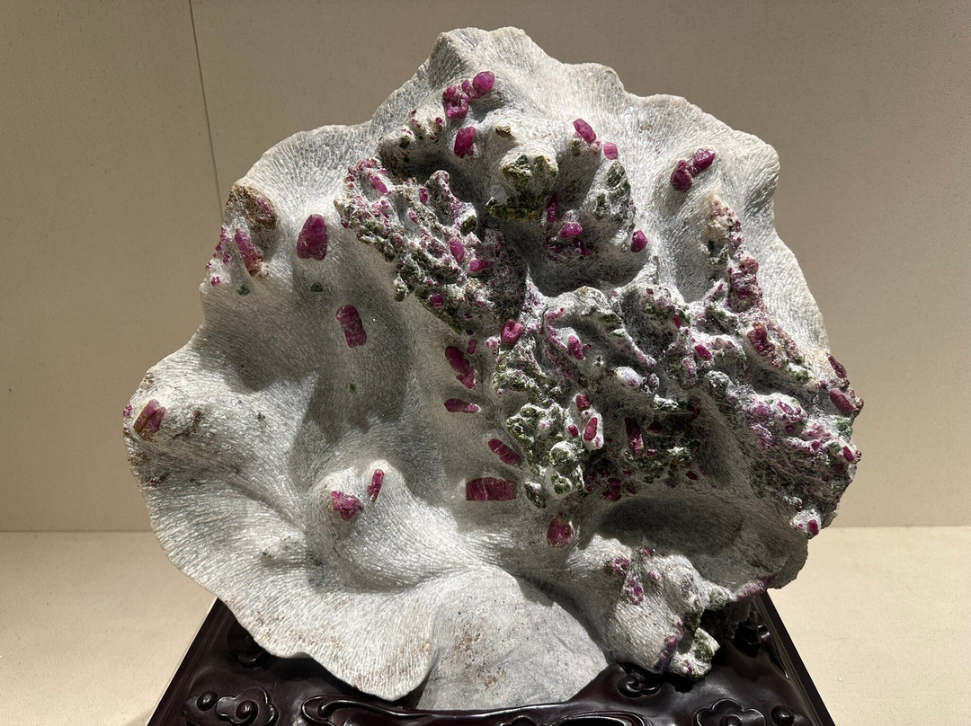 安徽省地质博物馆-合肥市必去景点