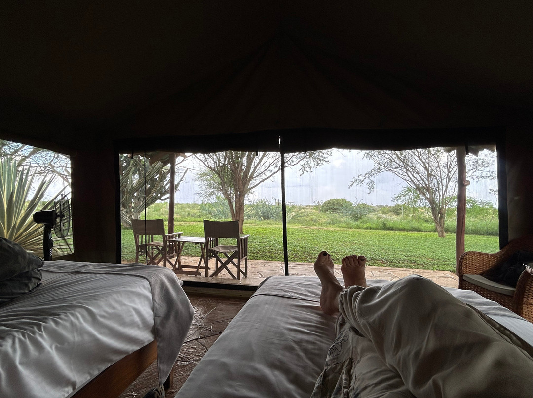 Girasole Tours And Safaris-瓦塔木必去景点