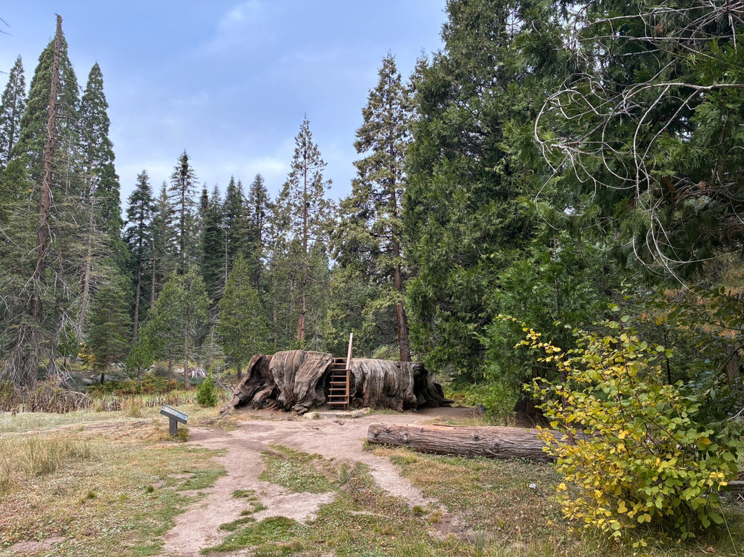 Big Stump Basin-红杉&国王峡谷国家公园必去景点