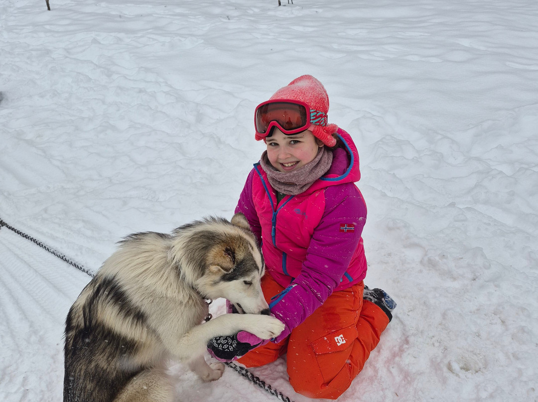 Trysil Husky-Torberget必去景点