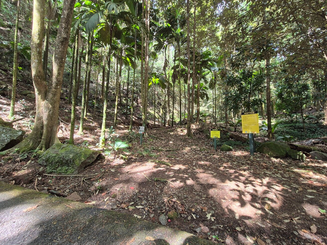 Morne Seychellos National Park-维多利亚必去景点