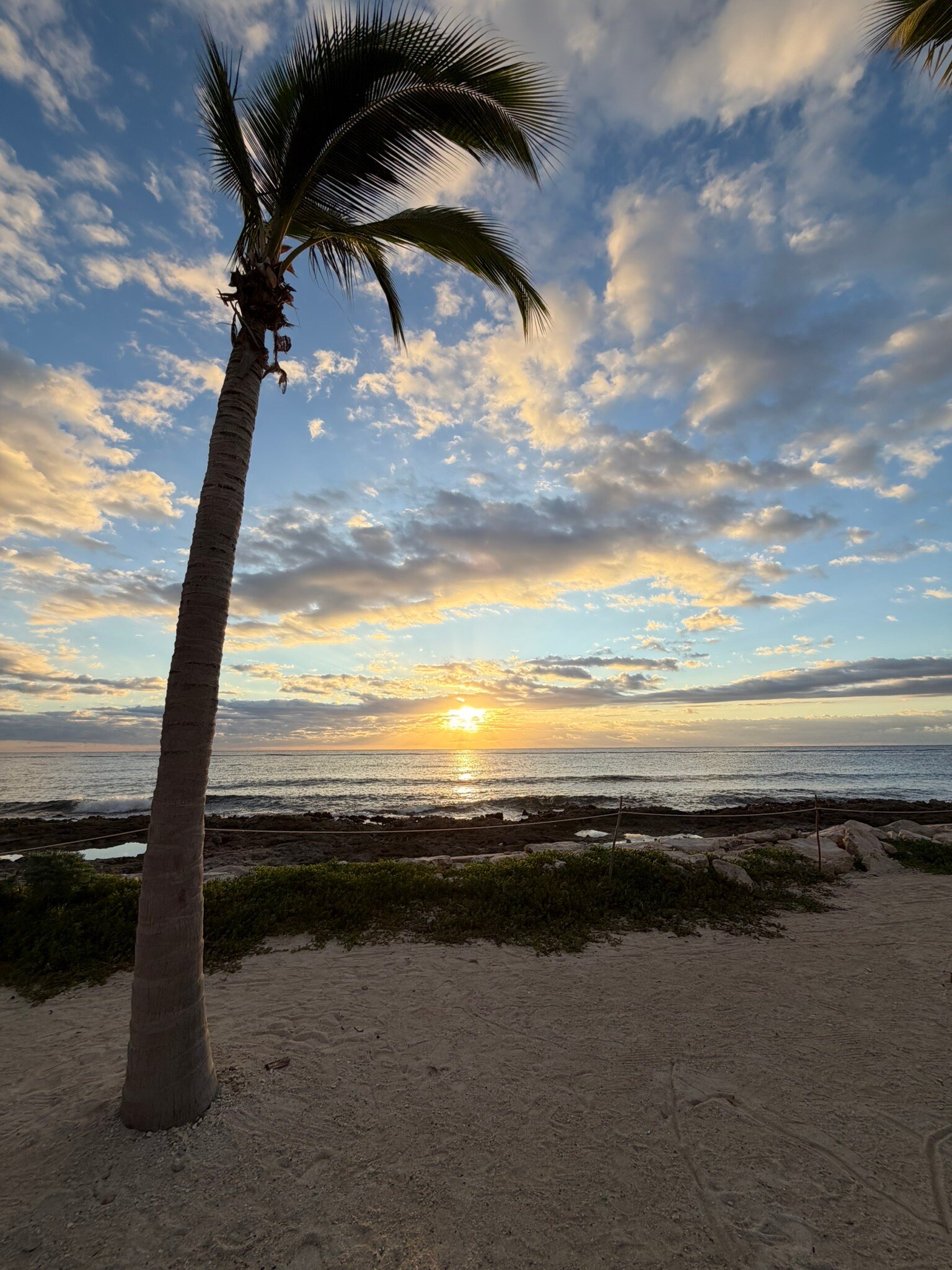 Hilton Tulum Riviera Maya All-Inclusive Resort-官方