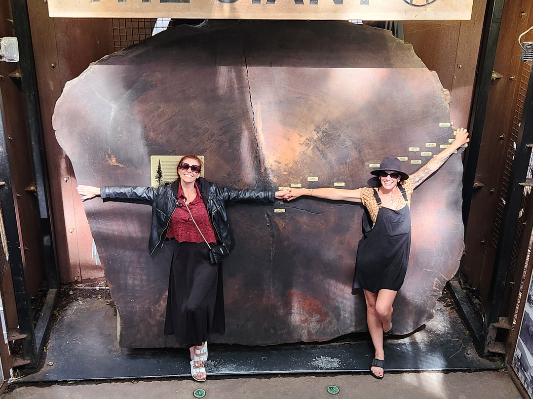 A Day in the Bay-Papamoa必去景点