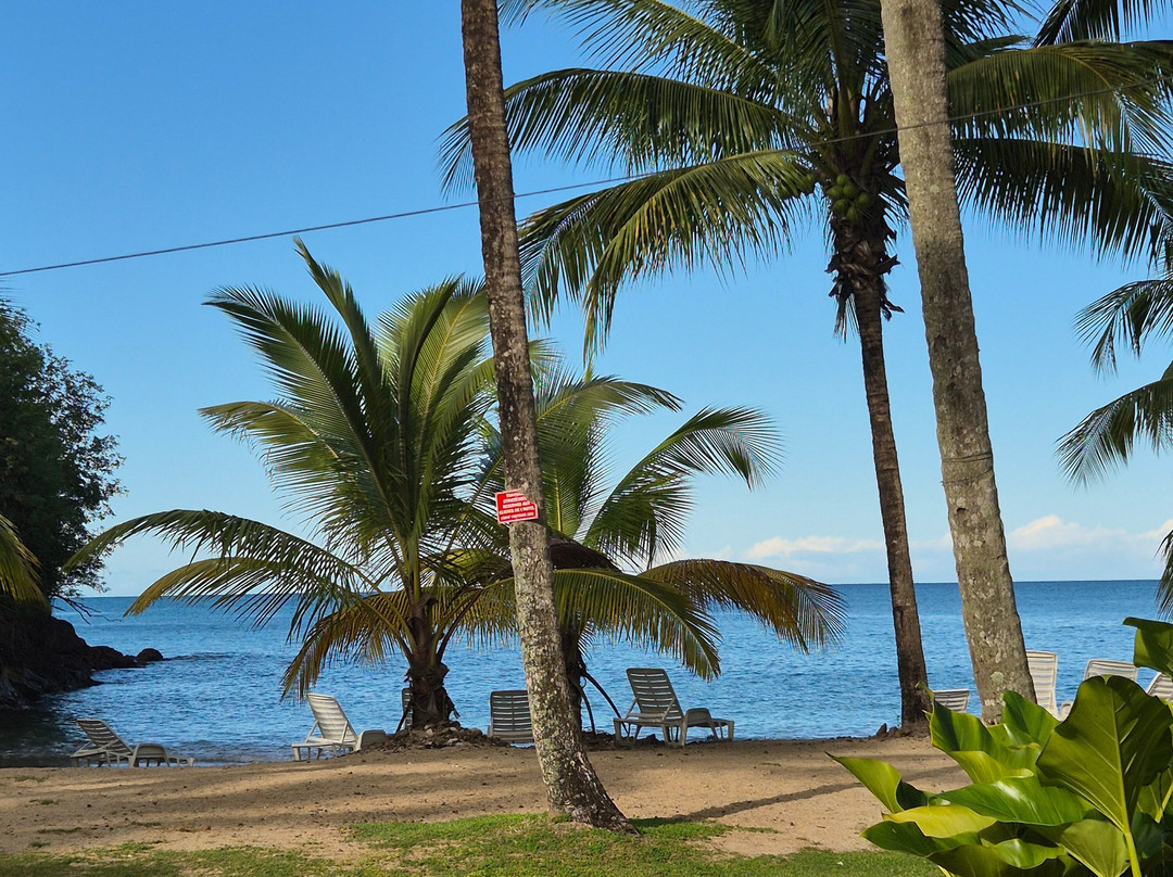 Imperatrice Village主图