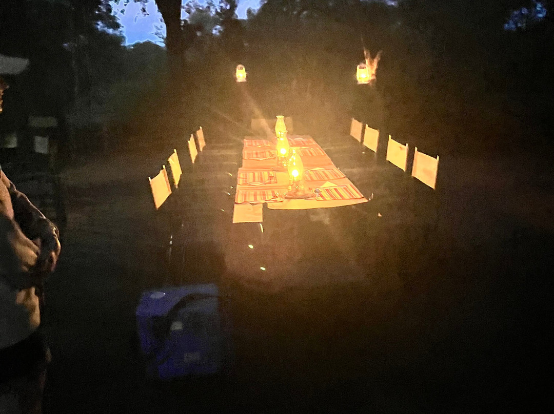 Bushbaby Adventures-伐拉博瓦必去景点