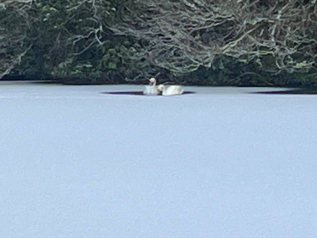 The Lake Country House & Spa-官方