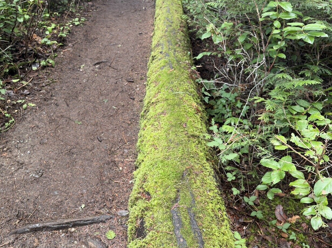 Esquimalt Lagoon Migratory Bird Sanctuary-Colwood必去景点