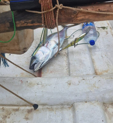 Zanzione Tour and Travel-桑给巴尔市必去景点