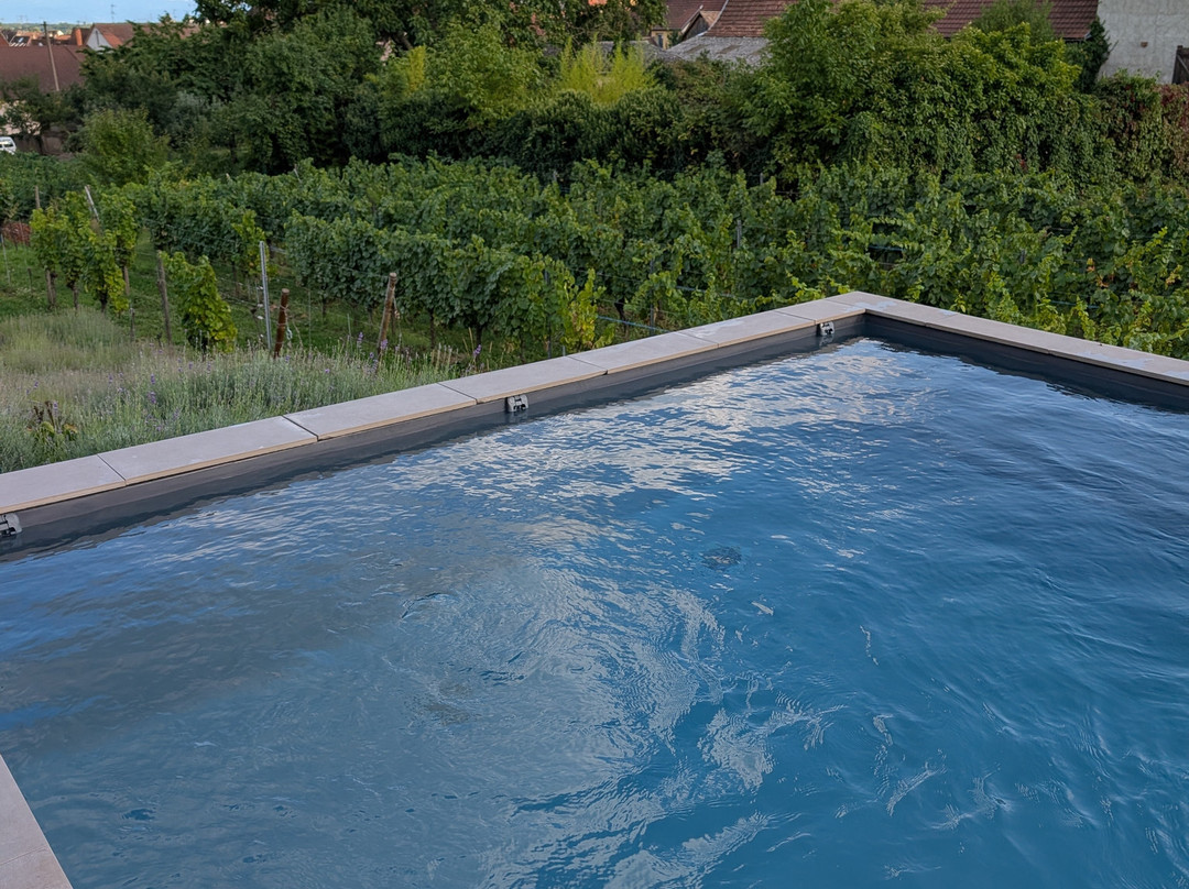 James Vignoble Hôtel主图