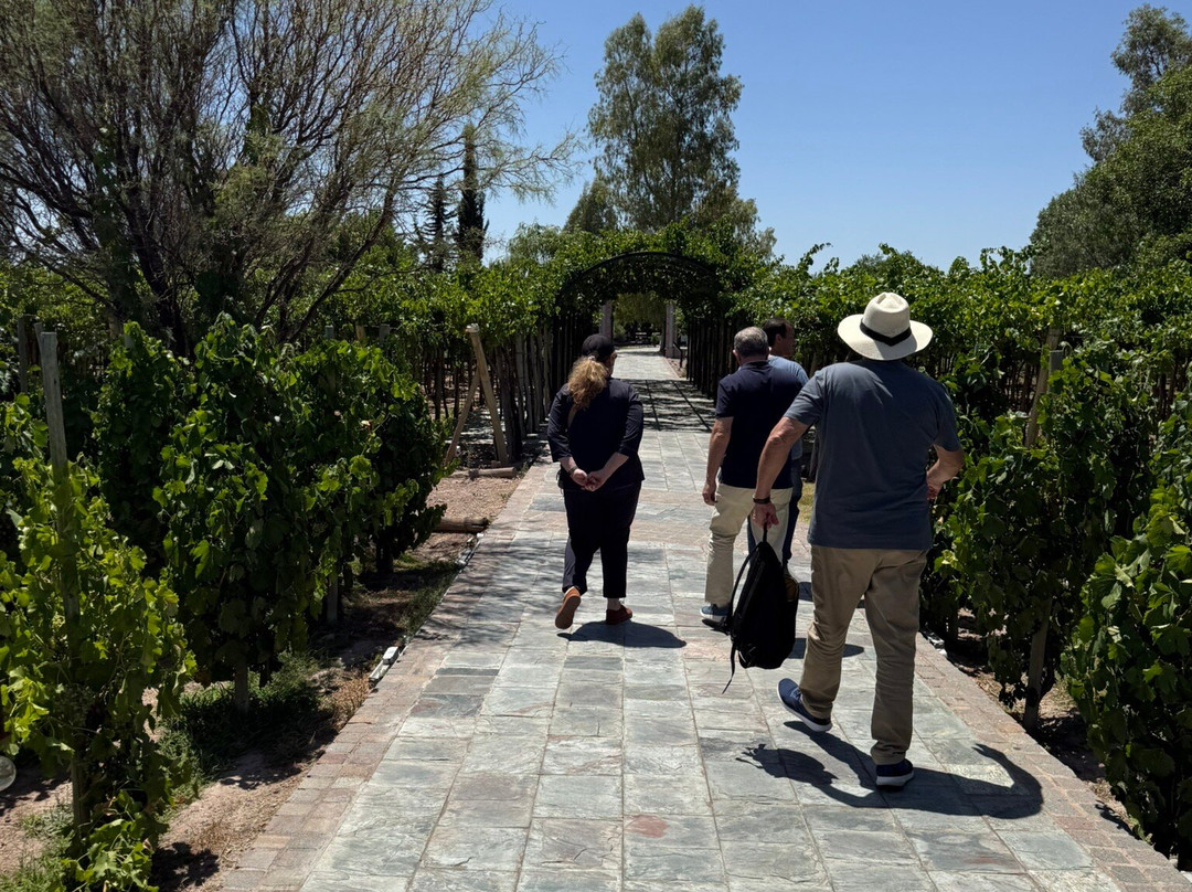 Mendoza Viagem-门多萨必去景点