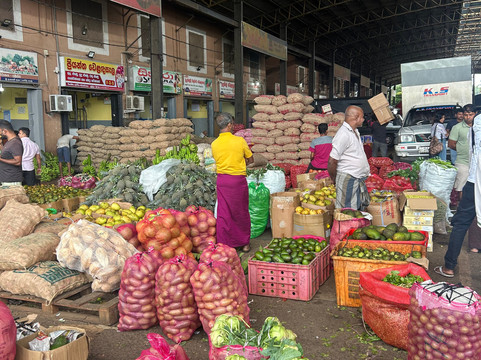 Sanka Tuk Tuk Trails Sigiriya-锡吉里亚必去景点