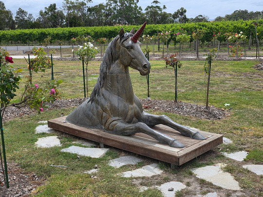 Local Way Tours-墨尔本必去景点