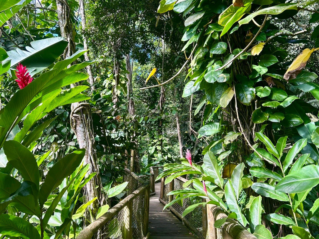 Zoo De Guadeloupe Au Parc Des Mamelles-Bouillante必去景点