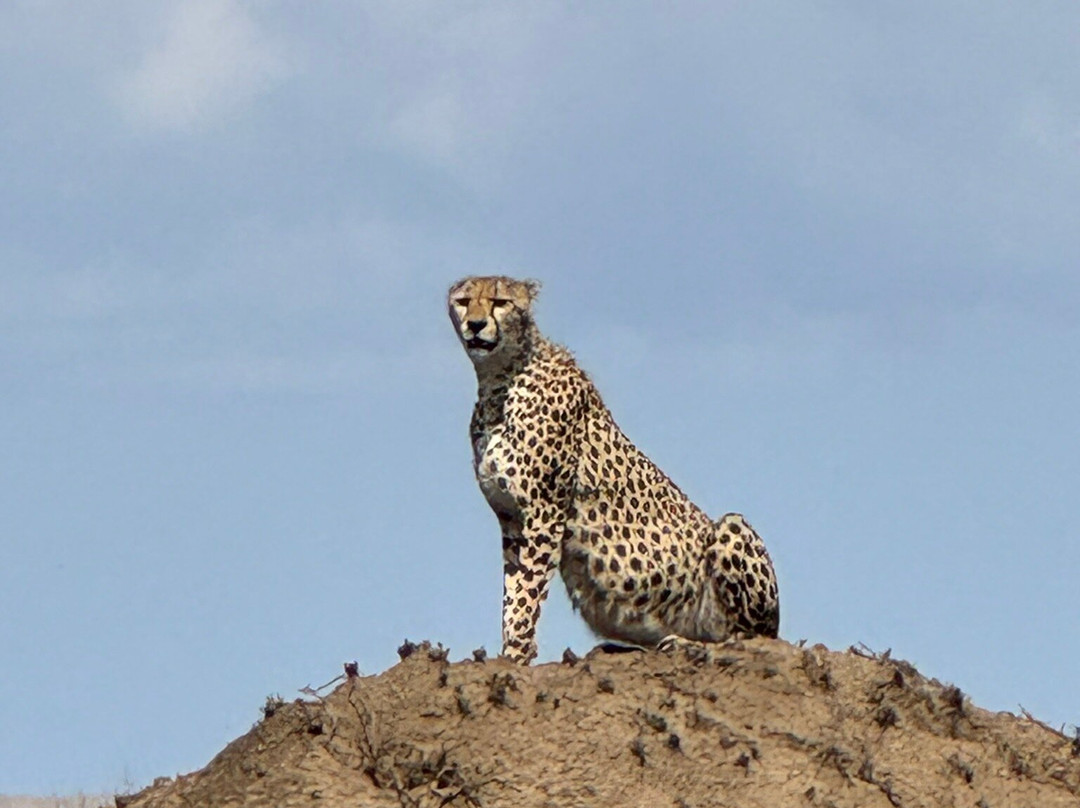 Tansania Reiseabenteuer SDL GmbH-柏林必去景点