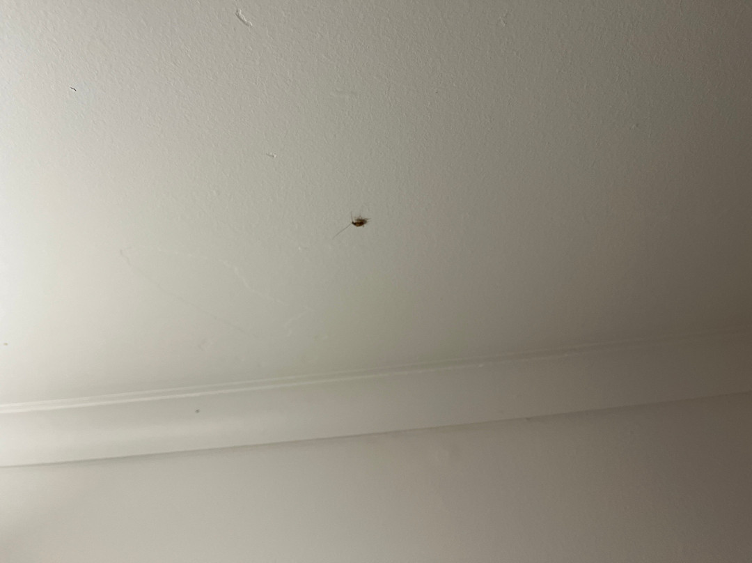 全季凯恩斯殖民俱乐部酒店主图