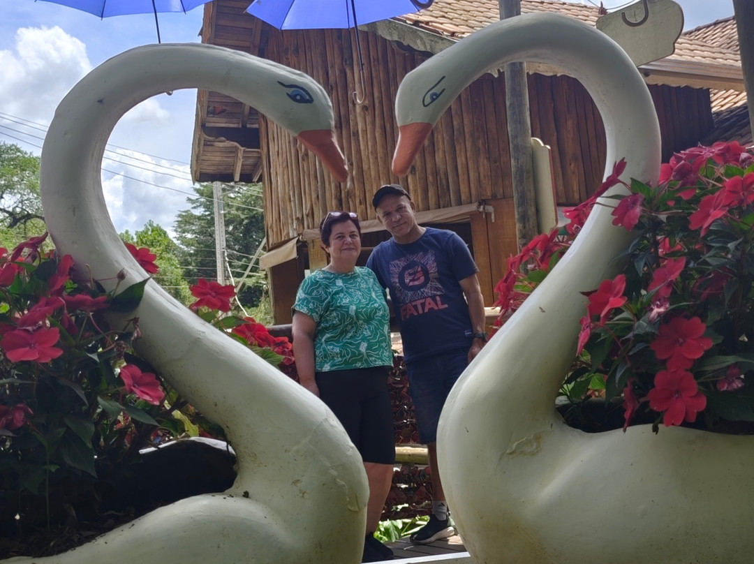 Companhia 4x4-蒙特贝尔德必去景点