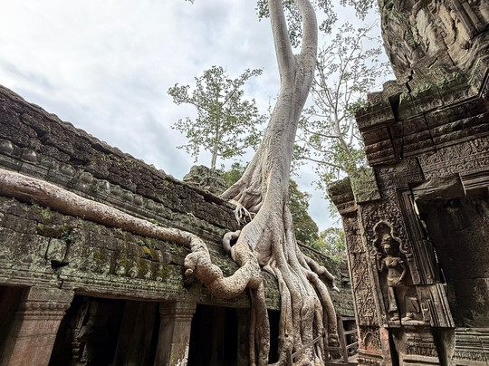 Asia Future Travel-暹粒必去景点