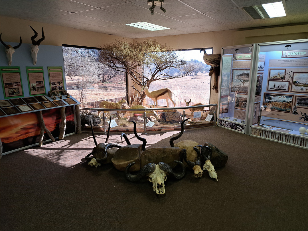 Mokala National Park-金伯利必去景点